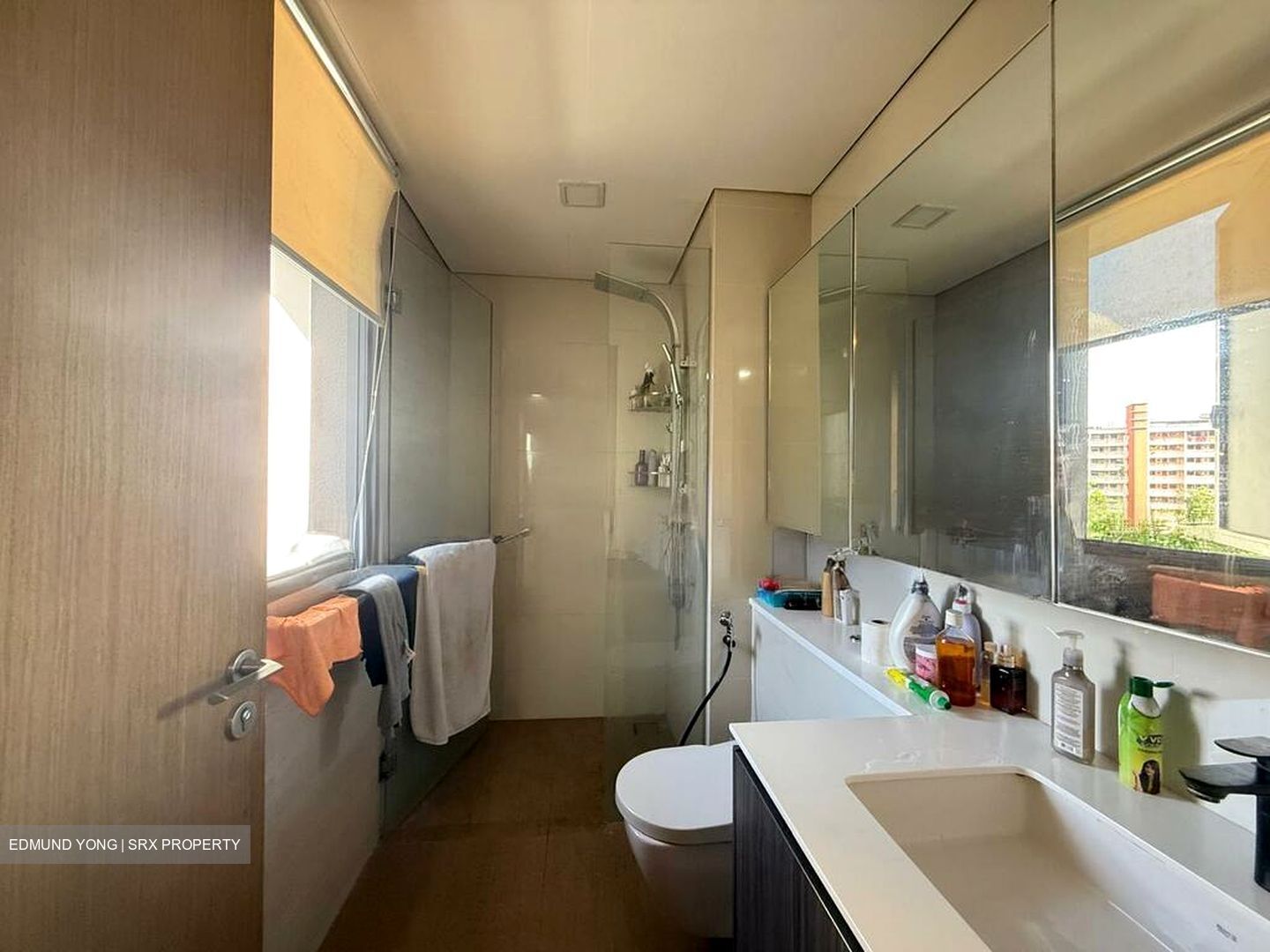 Lakeville (D22), Condominium #495588781